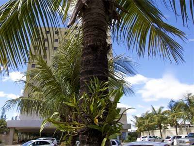Hotel Thomasi Express -